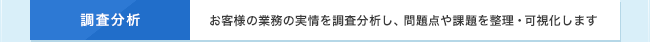 調査分析　お客様の業務の実情を調査分析し、問題点や課題を整理・可視化します